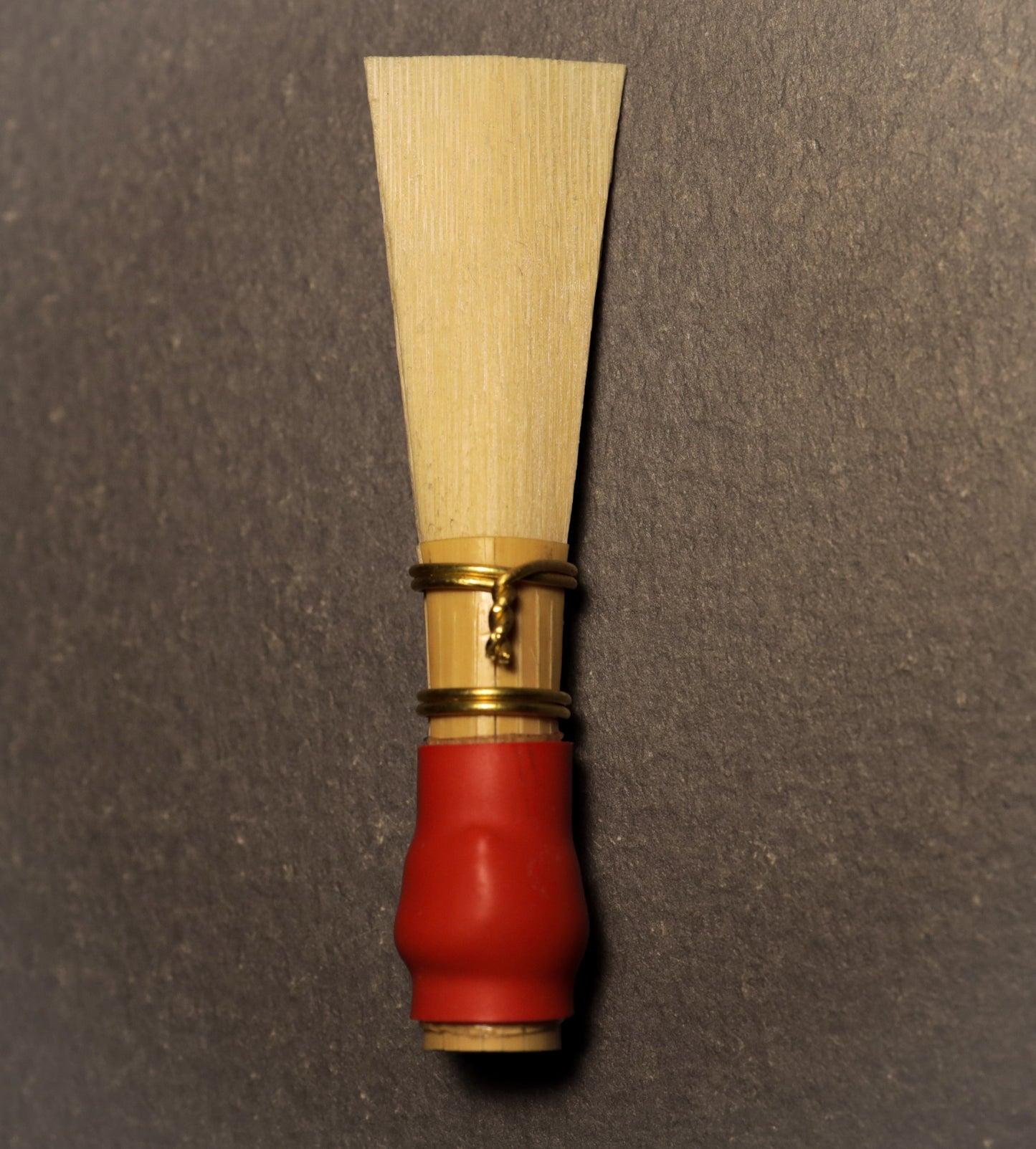 Student bassoon reed